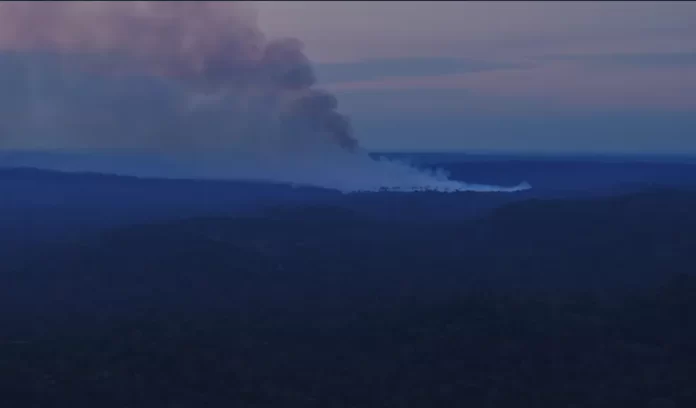 Incêndio Florestal no Amazonas: 15 Dias de Desafios