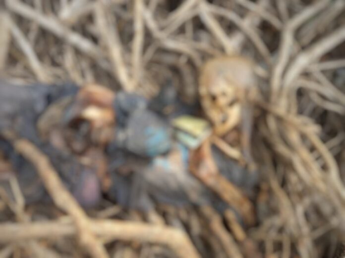 Ossada Humana Encontrada em Manaus