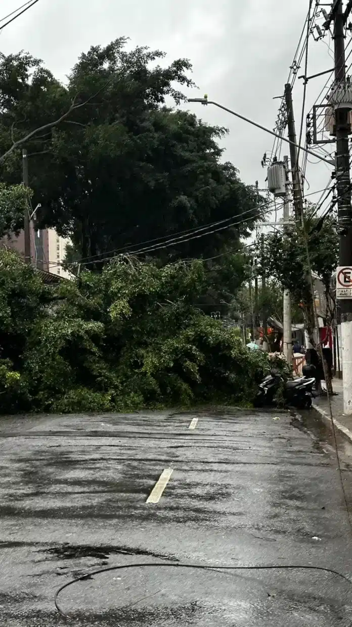 Chuvas Intensas em São Paulo