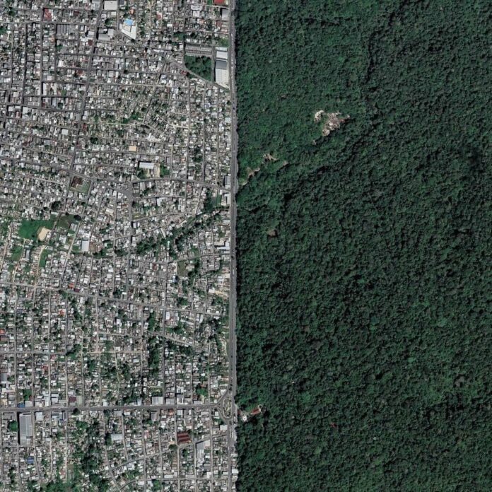 Divisa Manaus-Floresta