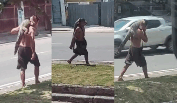 Homem anda com jacaré no ombro em Manaus