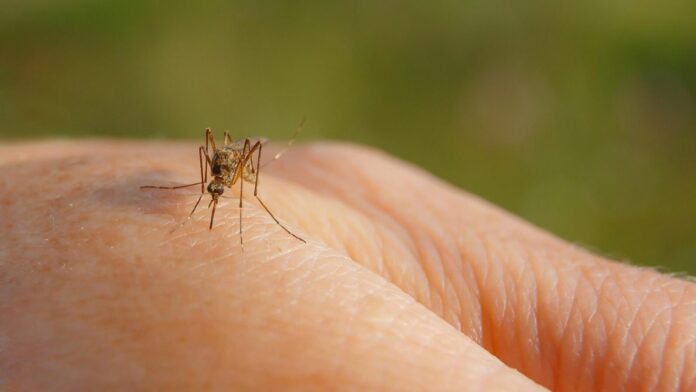 Agente de saúde realiza ação de prevenção à malária em área de risco em Manaus, orientando moradores sobre sintomas e medidas de proteção contra o mosquito Anopheles.
