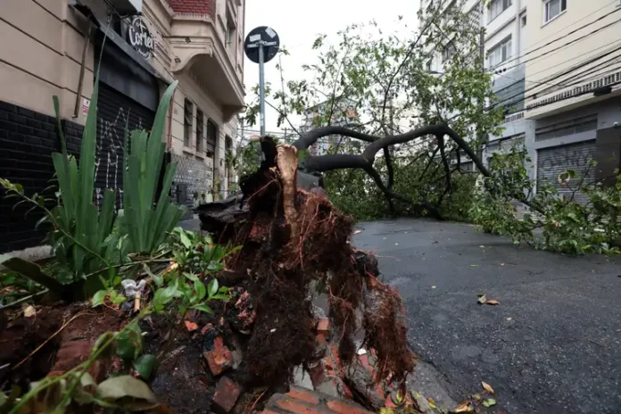 Árvores derrubadas por forte vendaval bloqueiam rua e atingem a rede elétrica no Rio de Janeiro.