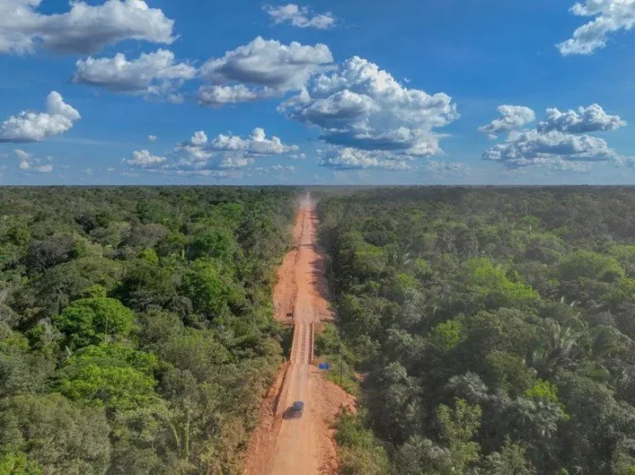 Reservas na área da BR-319 ampliam proteção ambiental em cerca de 669 mil hectares no Amazonas.
